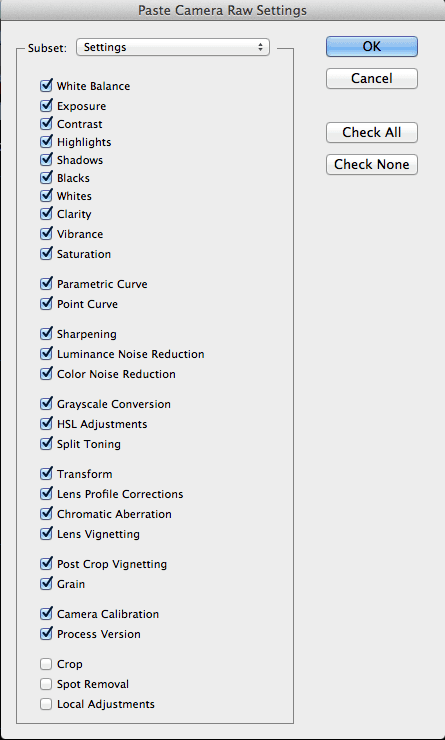 camera-raw-settings2