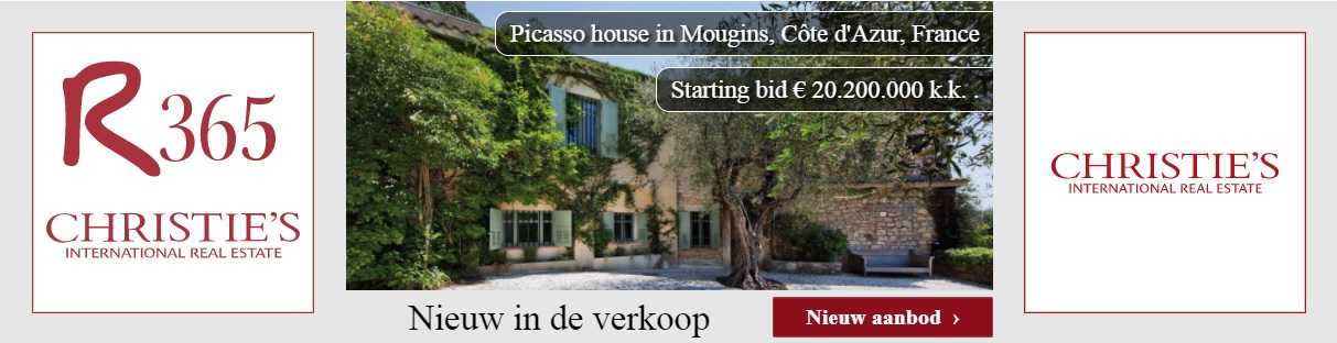 dynamische banner r365 picasso house