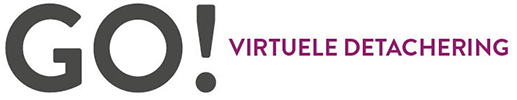 virtuele detachering logo